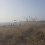 Stella Di Ponente * Macari